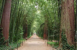 1.bambouseraie
